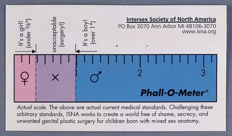 Asian Clit 1 2 3 - Medically Unnecessary Surgeries on Intersex Children in the ...