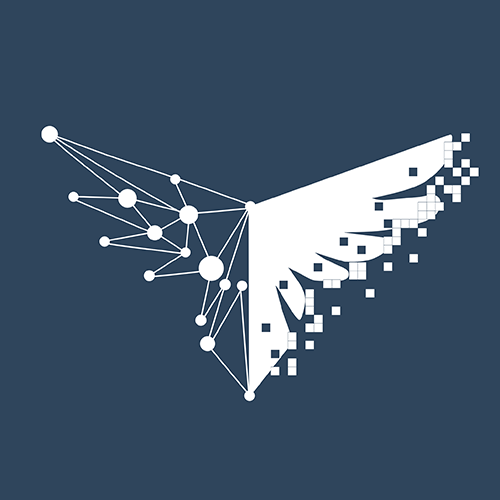 INSM Network for Digital Rights logo